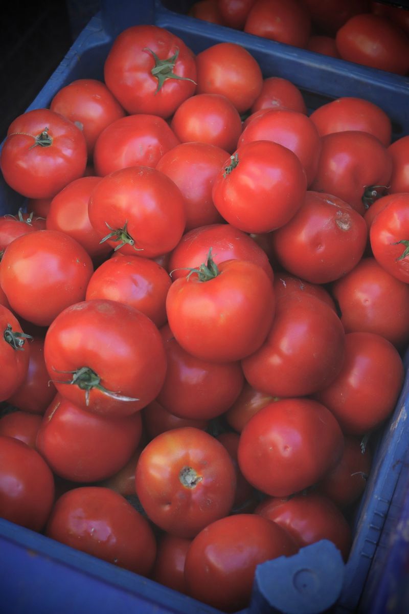 This North Carolina Festival Turns Peak Tomato Season Into A Juicy Summer Party This Week - Decor Hint The Plant Turns Into A Tomato-Lover's Playground