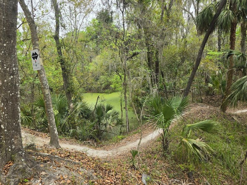 How A Mine Became A Trail Paradise
