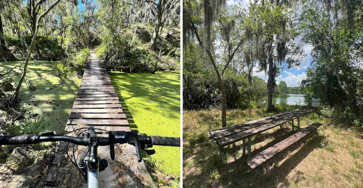 This Florida Bike Trail Hugs The River And Is Built For A Peaceful Ride - Decor Hint