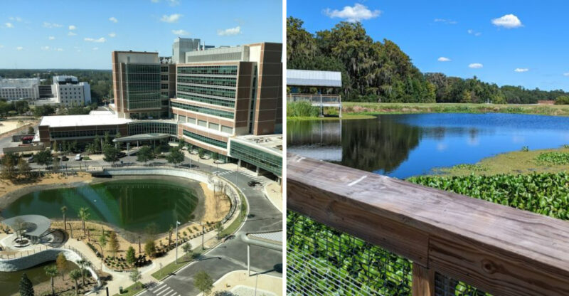 This Florida City Is Known For Living Costs That Can Fall Well Below The State Average