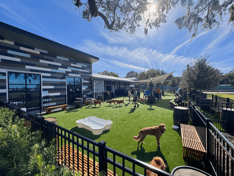 This Florida Spot Is Basically A Playground For Dogs And A Break For Their Humans - Decor Hint The Dog Park That Delivers