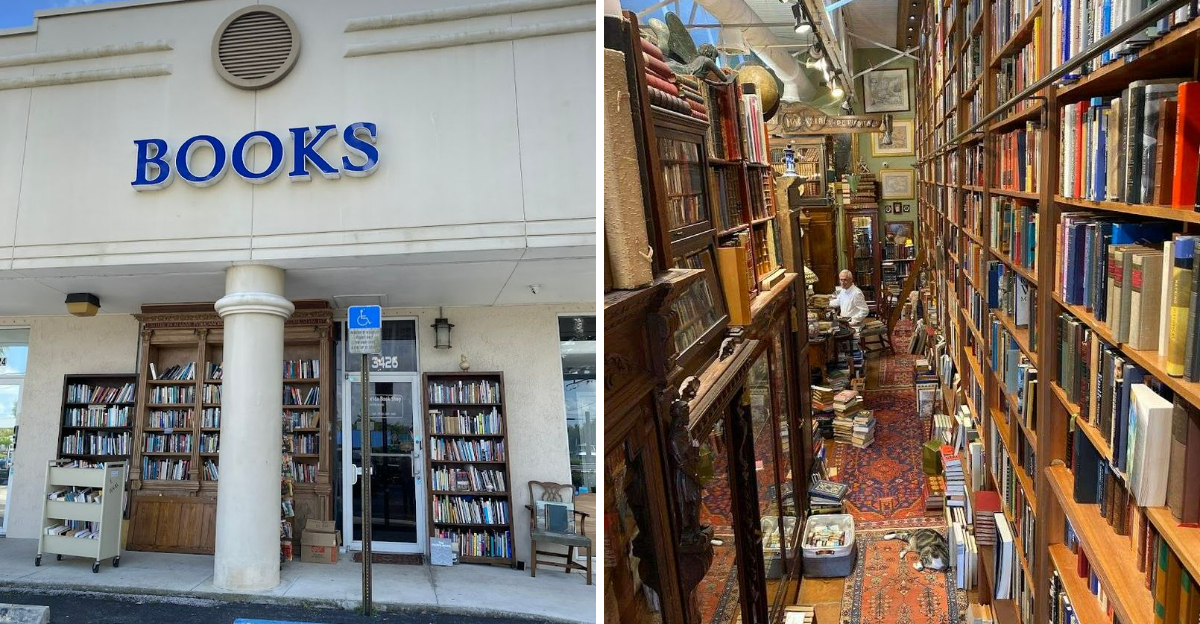 This Florida Used Bookstore Has A Shelf For Just About Every Interest - Decor Hint