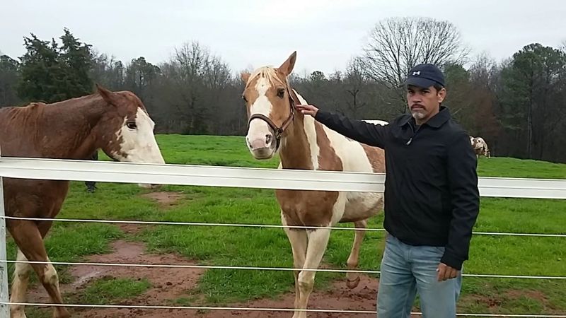 This Georgia Horse Farm Offers The Kind Of Adventure That Changes Your Perspective - Decor Hint Horseback Riding With Knowledgeable And Friendly Guides