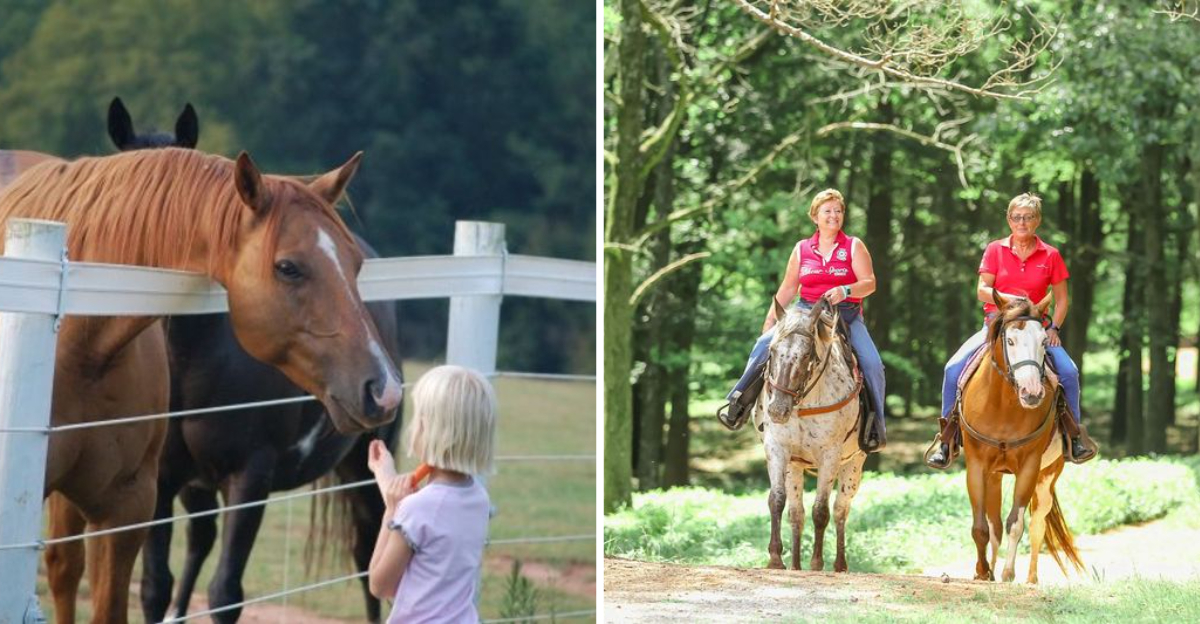 This Georgia Horse Farm Offers The Kind Of Adventure That Changes Your Perspective - Decor Hint