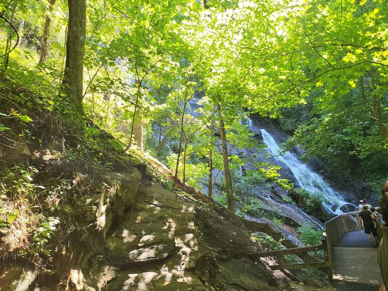 A Deck That Redefines Waterfall Viewing