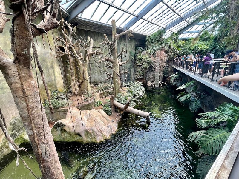 A World-Record Glass Dome