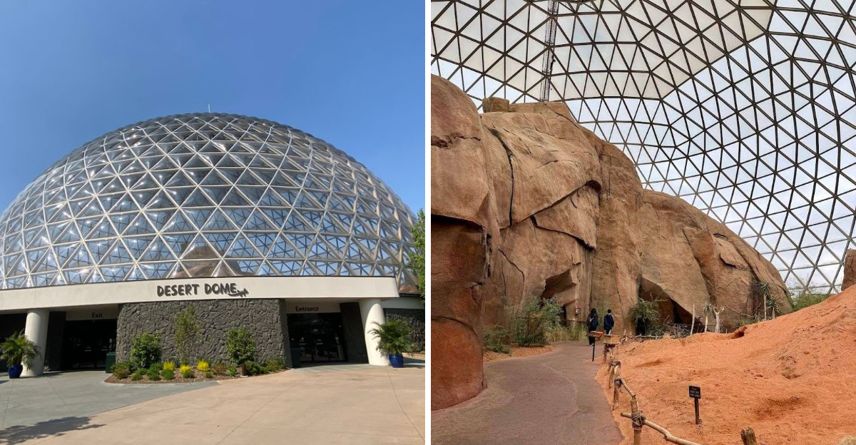 This Giant Glass Dome At A Nebraska Zoo Is The Largest Of Its Kind On Earth - Decor Hint
