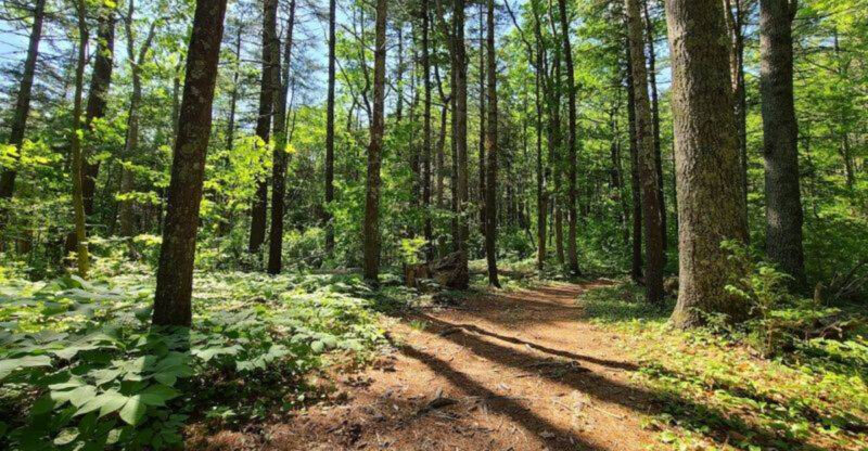 This Gorgeous State Park In Connecticut Is So Hidden You’ll Have It All To Yourself