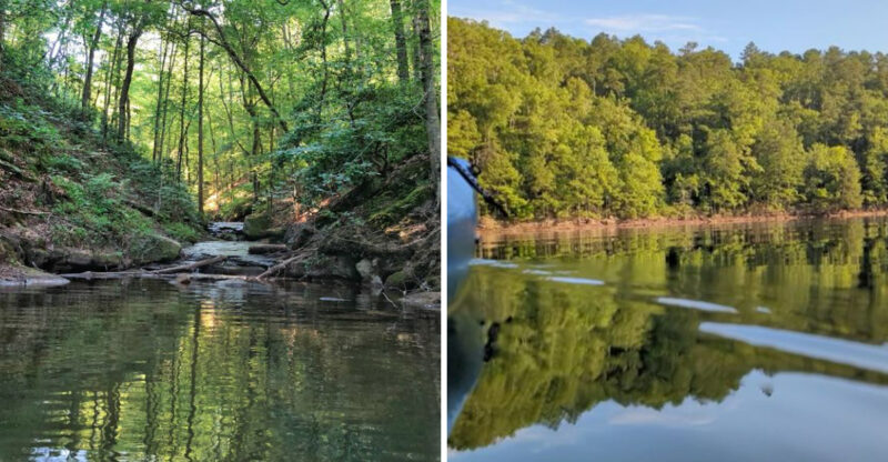 This Hidden Alabama Gem Is A Lake That Feels Completely Dreamlike