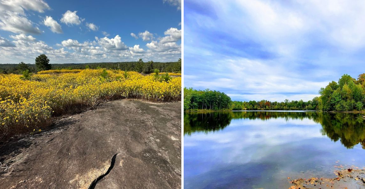 This Hidden Georgia Natural Landscape Feels More Like Another Planet Than A State Park - Decor Hint