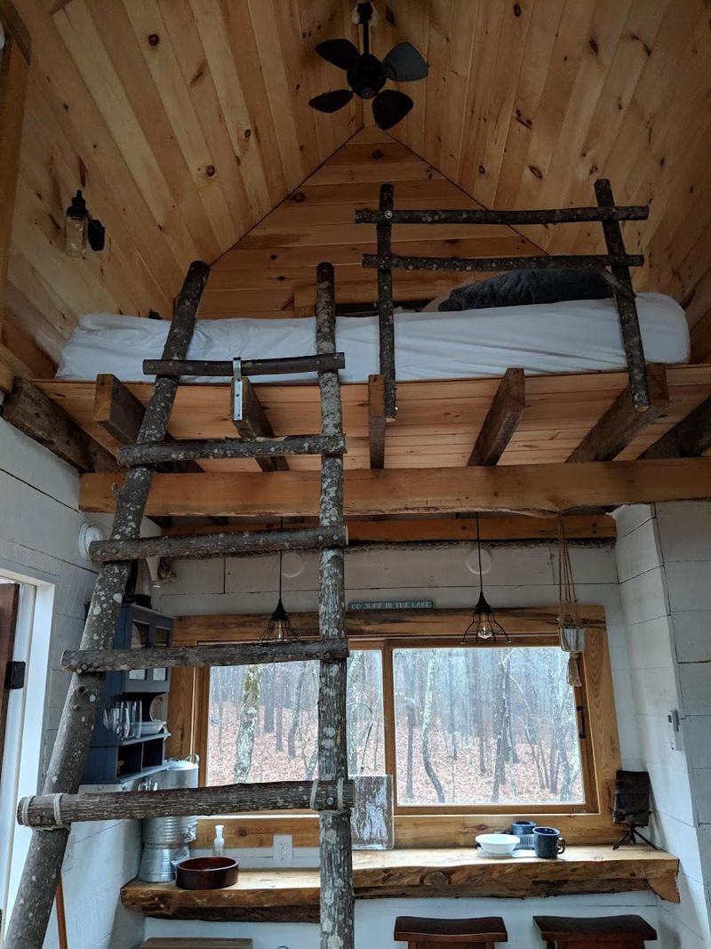 The Treehouse Experience