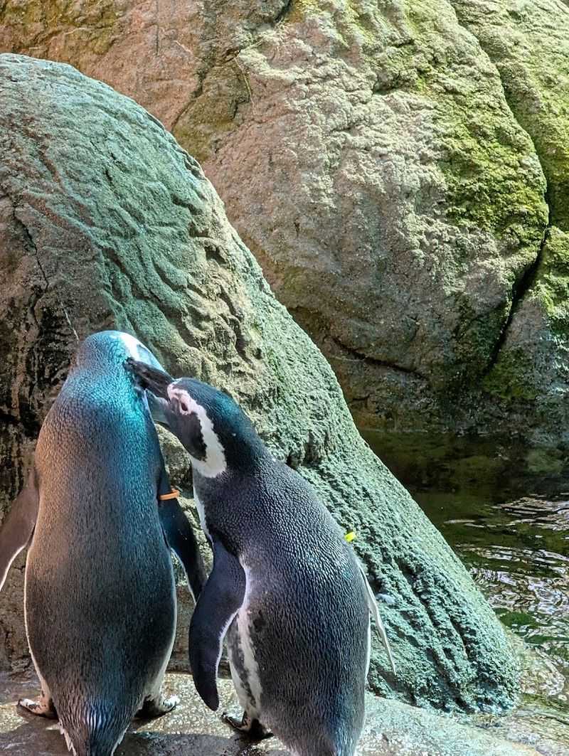 This Hidden Zoo In Michigan Is The Family Day Trip Most People Don't Know About - Decor Hint Michigan's Oldest Public Zoo With A Big Personality