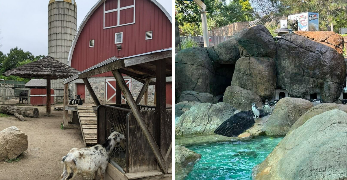This Hidden Zoo In Michigan Is The Family Day Trip Most People Dont Know About - Decor Hint