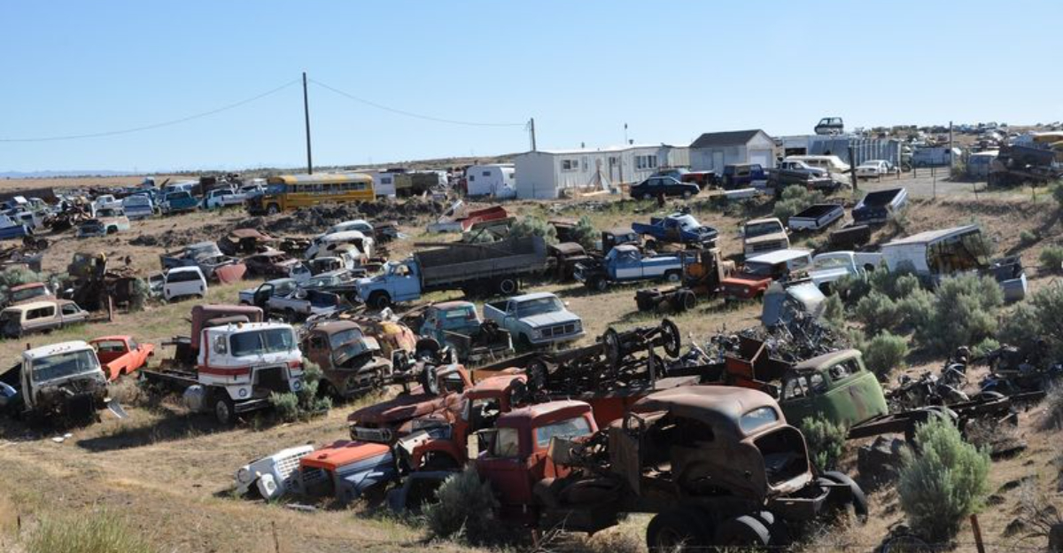 This Idaho 22Car Graveyard22 Once Held Thousands Of Classic Cars Waiting To Be Found Again - Decor Hint