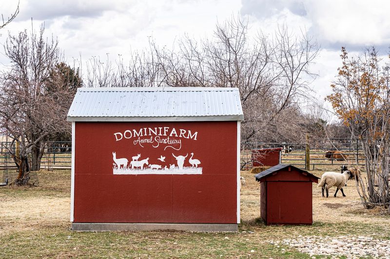 How This Animal Sanctuary Got Its Start