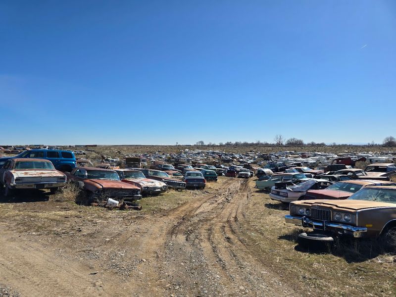 This Wendell Yard Feels Like A Classic-Car Time Capsule