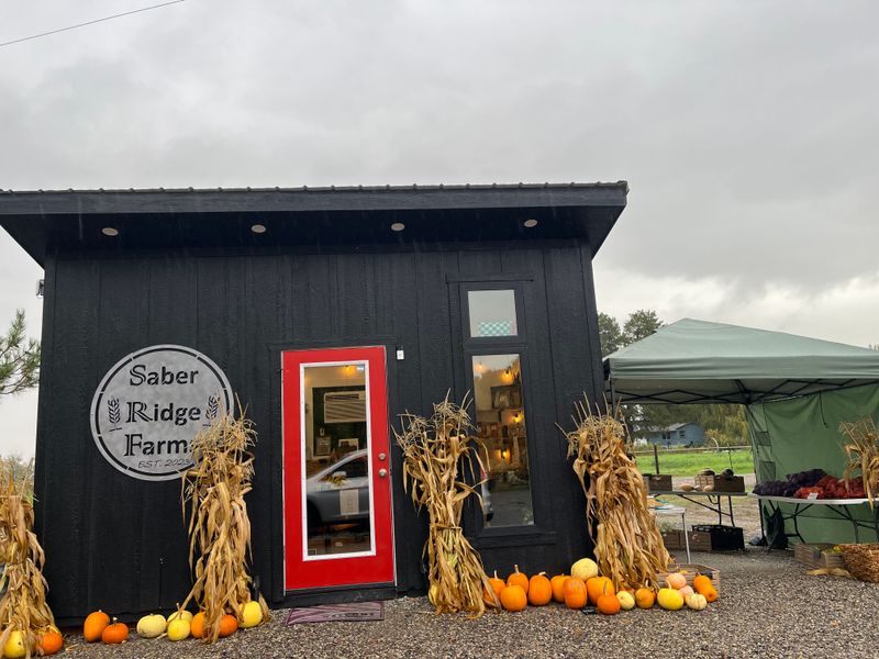 The Cheese Case That Stole The Show In Blackfoot