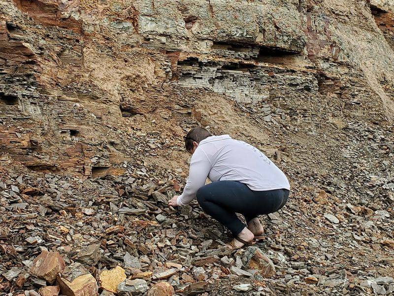 Idaho's Fossil Dig Turns A Roadside Stop Into A Time Machine