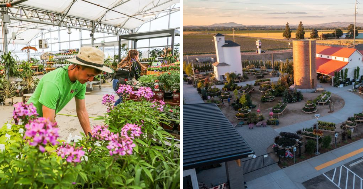 This Idaho Garden Center Lets You Pick Your Own Flowers For A Bouquet That Feels Straight Out Of A Cottage Daydream - Decor Hint