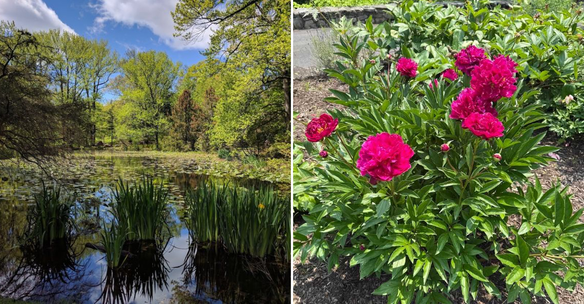 This Is The Incredible Botanical Garden In Connecticut That Most People Rarely Discover - Decor Hint