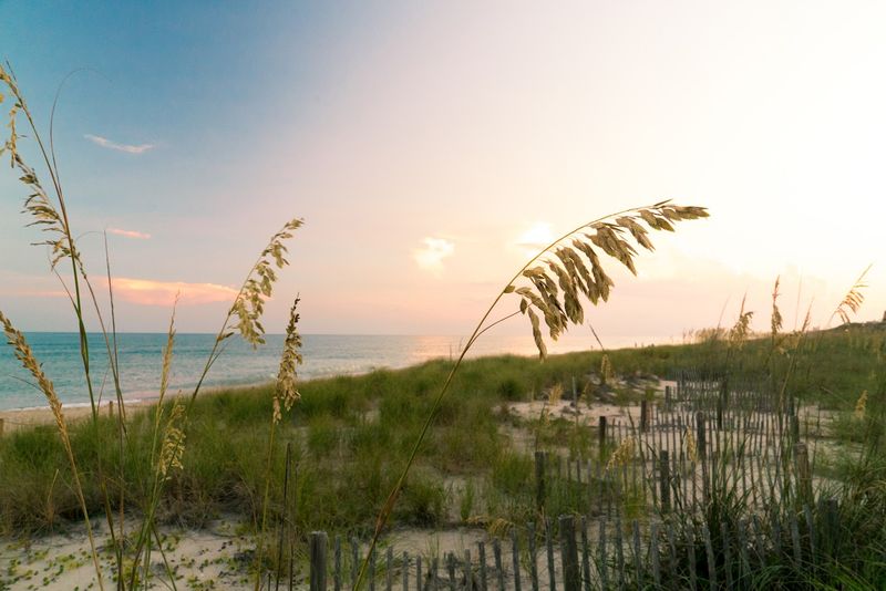Ocean Views Come With A Side Of Pine-Scented Calm