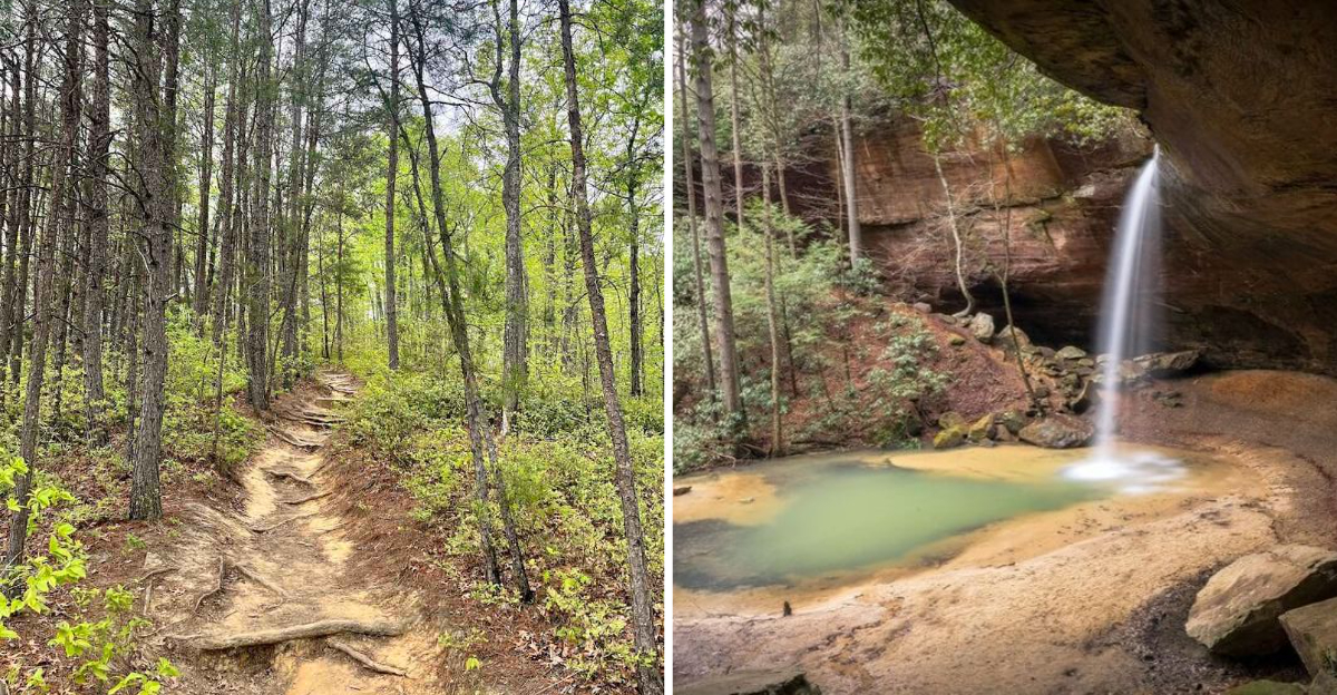 This Kentucky Campground Is Americas Best Kept Secret Youve Never Heard Of - Decor Hint