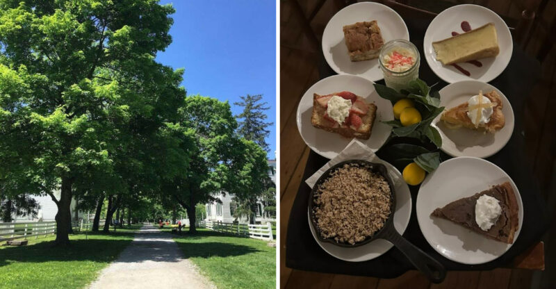 This Kentucky Restaurant Offers A Magical Meal Beneath Giant Sycamore Trees