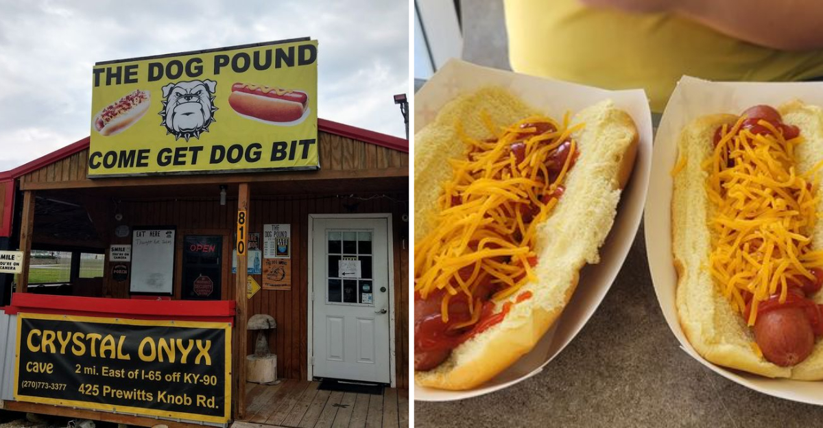 This Kentucky Roadside Restaurant Delivers Hot Dogs With Serious Nostalgic Charm - Decor Hint
