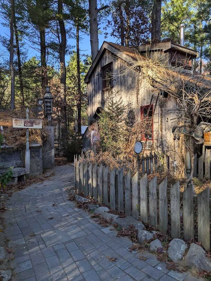 The Story Behind The Sanctuary