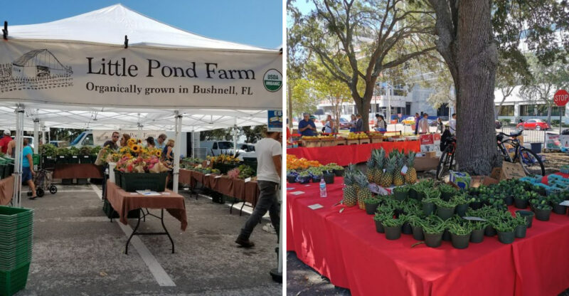 This Massive Florida Farmers Market Takes Over An Entire Downtown Every Weekend