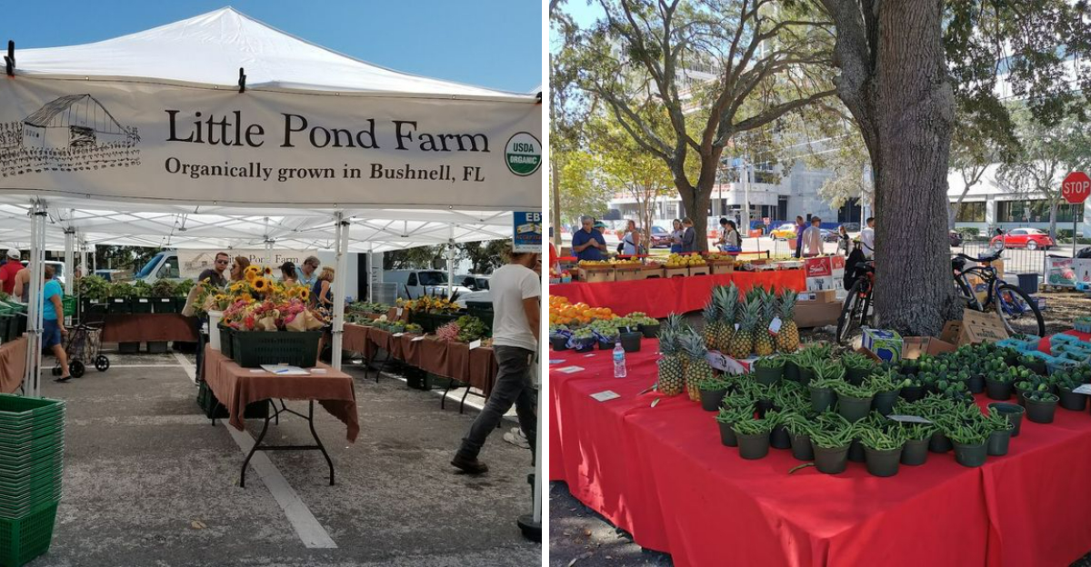 This Massive Florida Farmers Market Takes Over An Entire Downtown Every Weekend - Decor Hint