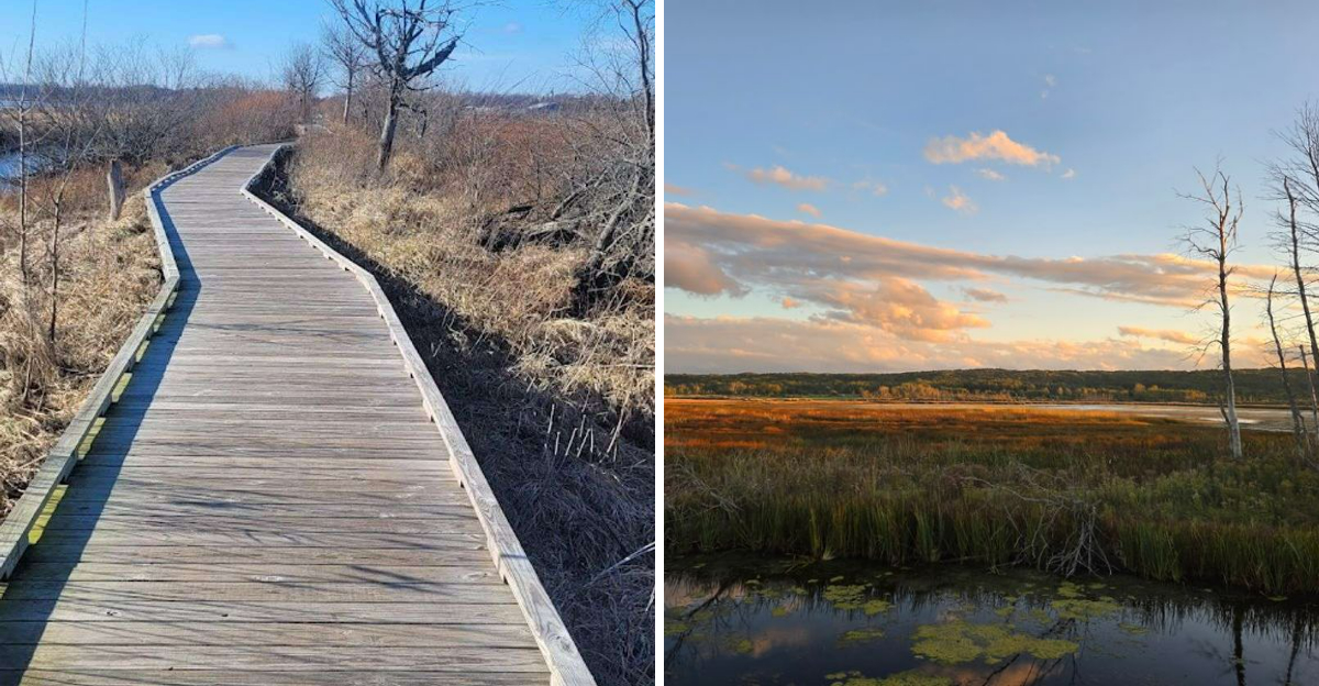 This Michigan Boardwalk Trail Ends With A View Youll Remember Long After The Walk - Decor Hint
