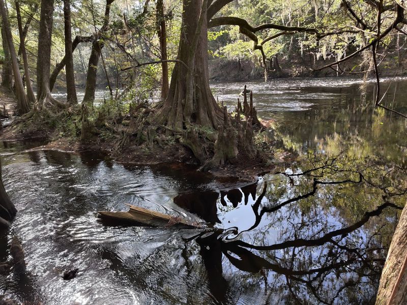 The Place Where The Santa Fe River Disappears