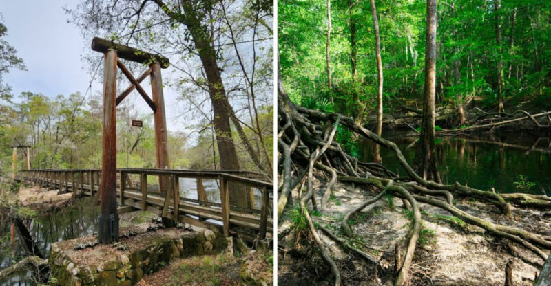 This Mysterious Florida State Park Is So Strange, You Might Think You’ve Entered The Twilight Zone