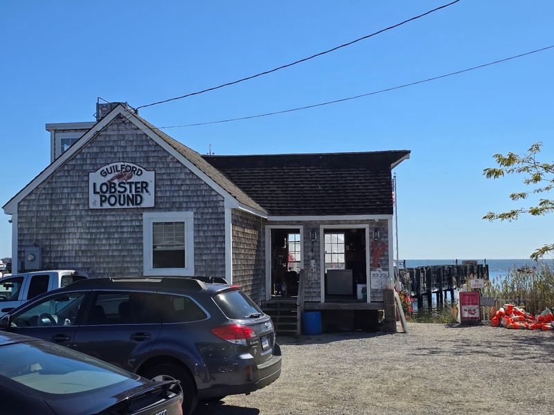 A Harborfront Shack With Big Flavor