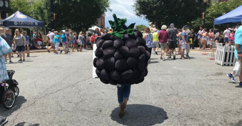 This North Carolina Blackberry Festival Turns Lenoir Into A Sweet Summer Weekend Tradition
