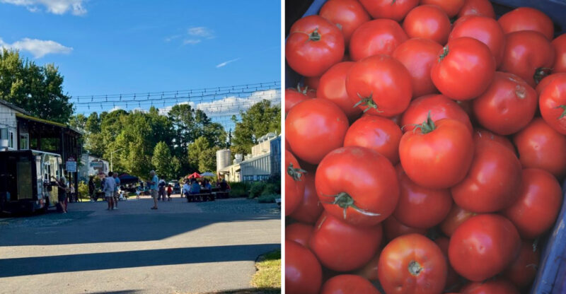 This North Carolina Festival Turns Peak Tomato Season Into A Juicy Summer Party This Week