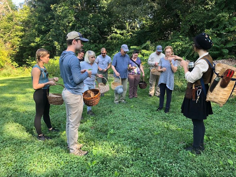 This North Carolina Foraging Tour Lets You Hunt For Wild Mushrooms In The Asheville Woods - Decor Hint Follow A Guide Into The Woods Before You Touch Anything