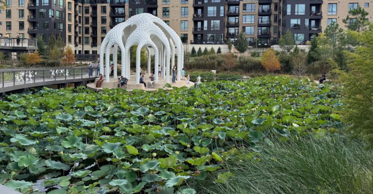 This North Carolina Park Has Hundreds Of Magical Lily Pads Floating Through Its Dreamy Downtown Garden - Decor Hint