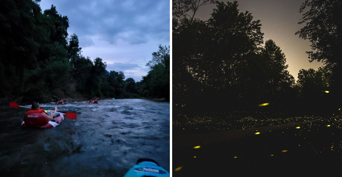 This North Carolina River Float Lets You Drift Through A Real Life Firefly Show - Decor Hint