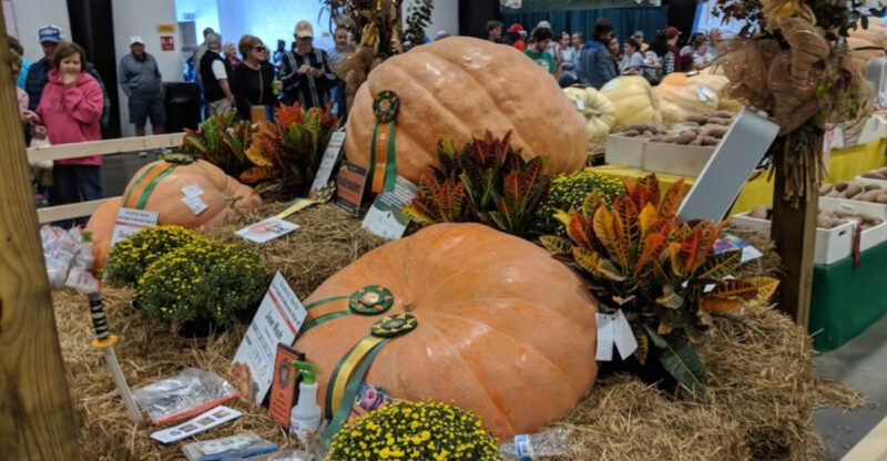 This North Carolina State Fair Stop Lets Visitors See A Record-Smashing Giant Pumpkin