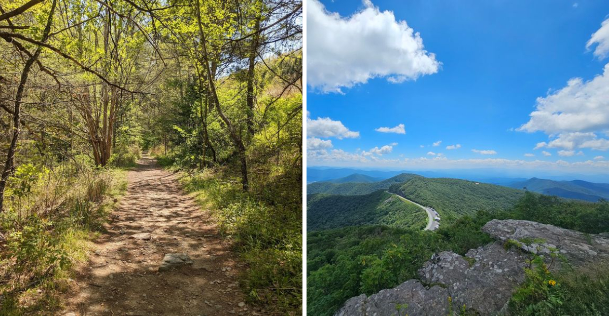 This North Carolina Trailhead Leads To A Mountain View Worth The Climb - Decor Hint