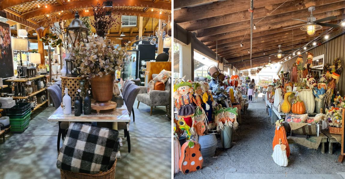 This North Georgia Plant Destination Is Actually The Regions Most Magical Hidden Escape - Decor Hint