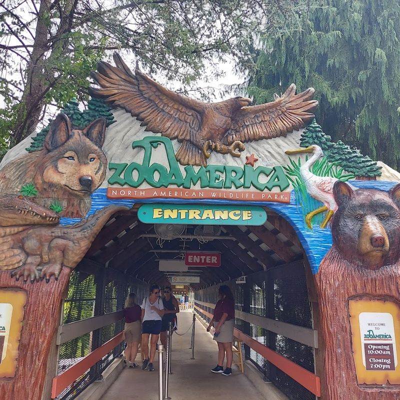 This Pennsylvania Zoo Keeps Winning Over Everyone Who Finds It - Decor Hint A Zoo Born From Chocolate Country