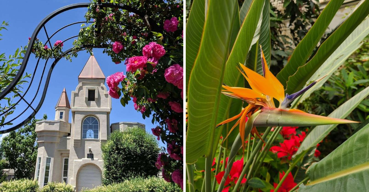 This Quiet Colorado Garden Feels Like A World Away From The Crowds - Decor Hint