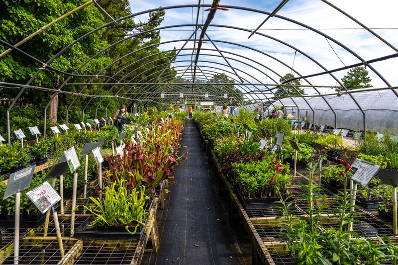 Plant Lovers Get Lost In The Best Possible Way