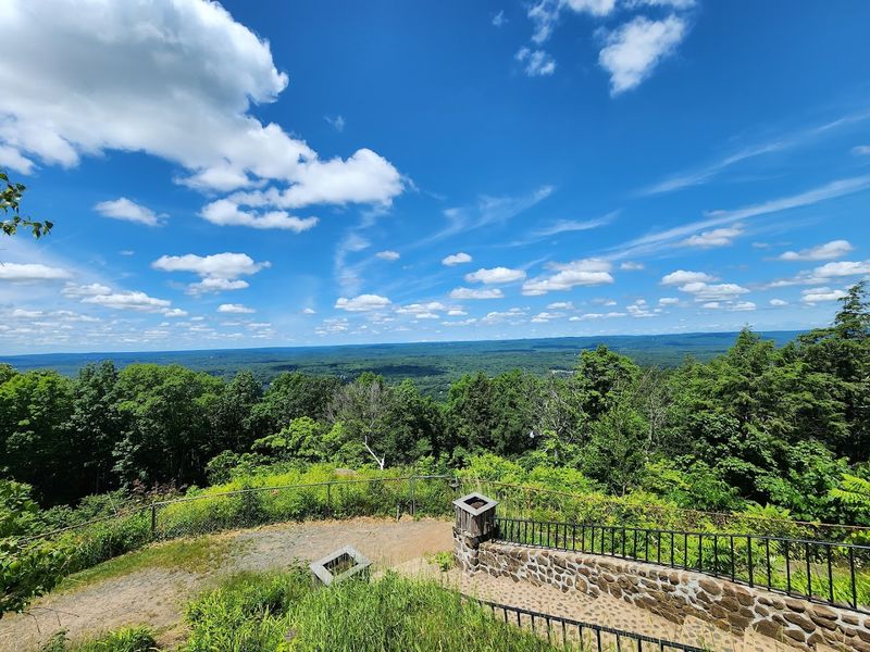 The Trail Overview