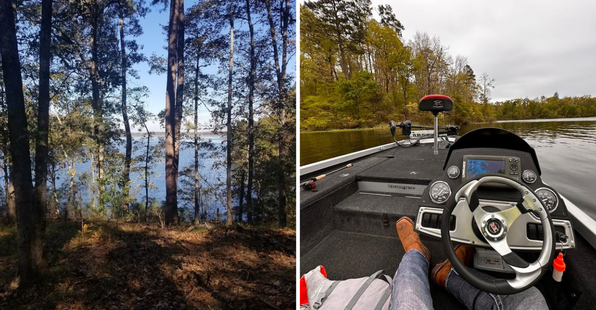 This Remote Louisiana Lake Feels Like Another World - Decor Hint