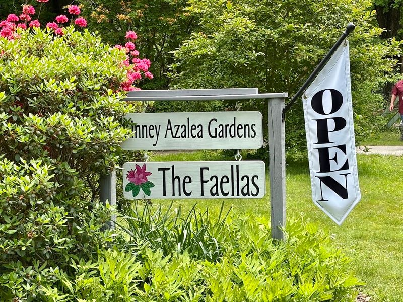 This Rhode Island Garden Feels Like A Quiet World Of Its Own - Decor Hint A Botanist's Legacy Behind The Blooms