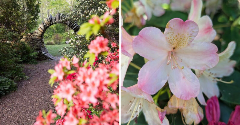 This Rhode Island Garden Feels Like A Quiet World Of Its Own